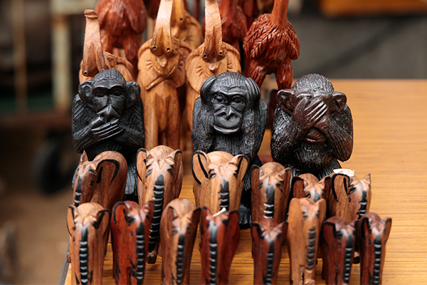 GUINEA PAVILLIONの写真